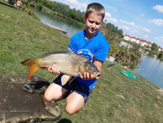 RECORD FISHING IN VI. HAUSFISCHWETTBEWERB