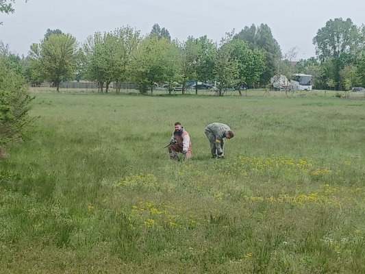 Csapatépítőt szerveztünk: Paintball csata Siófokon!