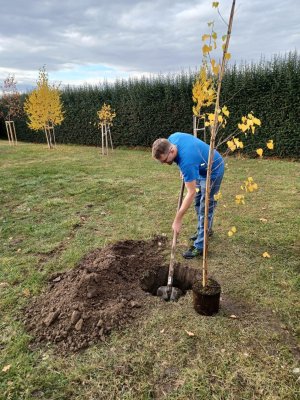 JUBILEE TREE PLANTING