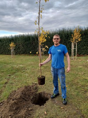 JUBILEE TREE PLANTING