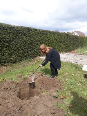 JUBILEE TREE PLANTING