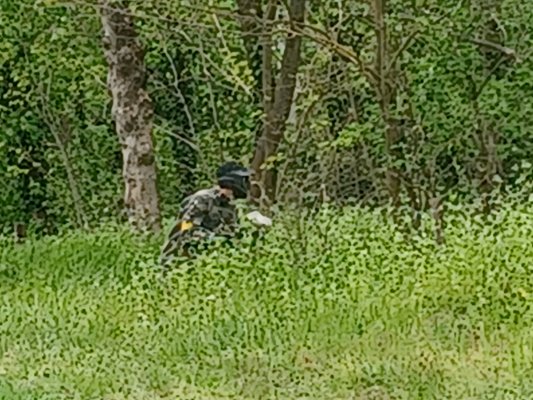 Csapatépítőt szerveztünk: Paintball csata Siófokon!